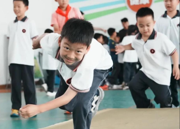 区域统筹校园主体技术支撑专家引领的教育数字化推动系统